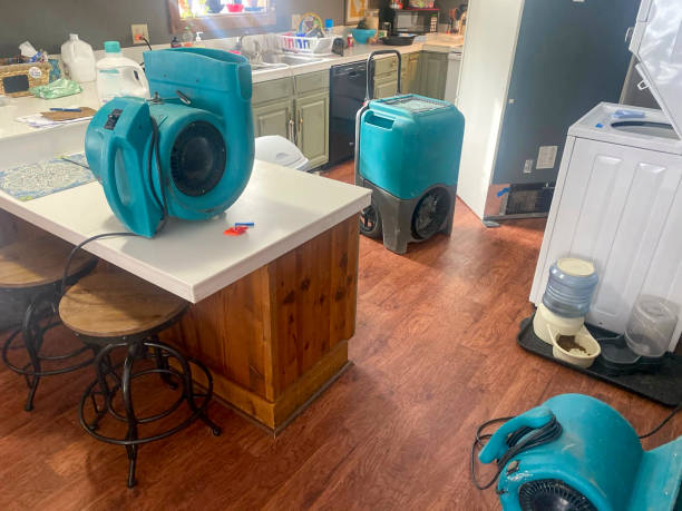 Best Carpet water damage restoration  in Fort Irwin, CA
