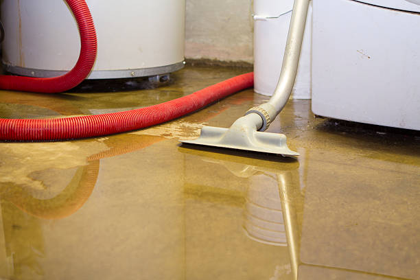 Best Sewage cleanup and water damage restoration  in Fort Irwin, CA