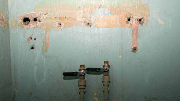 Best Water damage cleanup near me  in Fort Irwin, CA