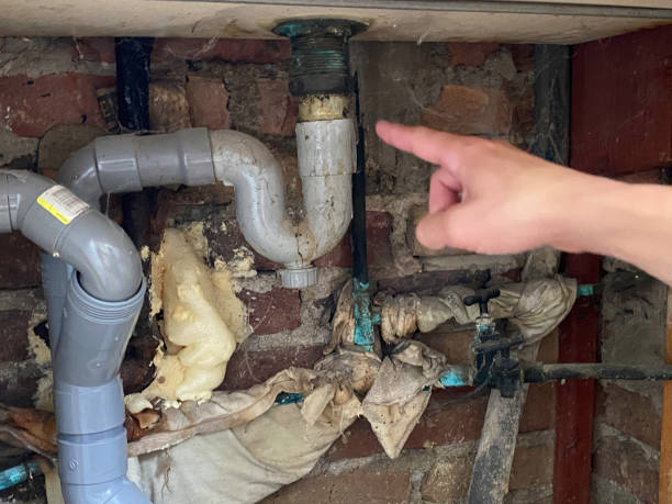 Best Basement water damage restoration  in Fort Irwin, CA