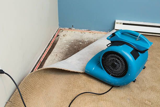Best Mold removal after water damage  in Fort Irwin, CA